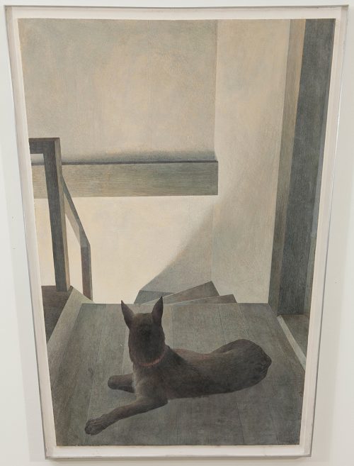 A dog lays on the landing of a darkened staircase. The dog faces away from the viewer. Its head is raised and it is looking down the stairs. A bright light shines up the stairs from below, casting the dog and landing in shadow.