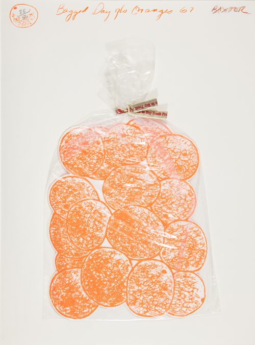 A cut-out print of neon-coloured oranges is held inside a clear plastic bag against a white background. The oranges are simply drawn and the bag is fastened with a produce twist tie. Handwriting across the top of the print reads “Bagged Day glo Oranges 67”.