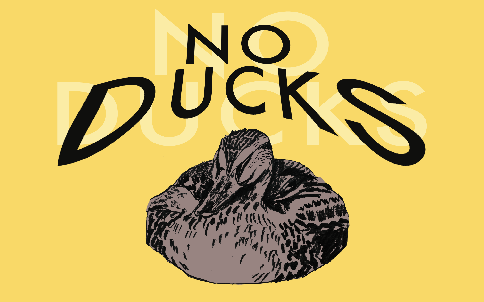 On a yellow background, the text No Ducks floats above a drawing of a brown duck sleeping.