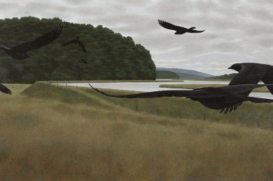 Seven black crows fly across a marsh.
