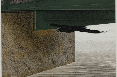 A central black bird, wings outstretched and beak open, flies diagonally towards the viewer through the space underneath a bridge over water.