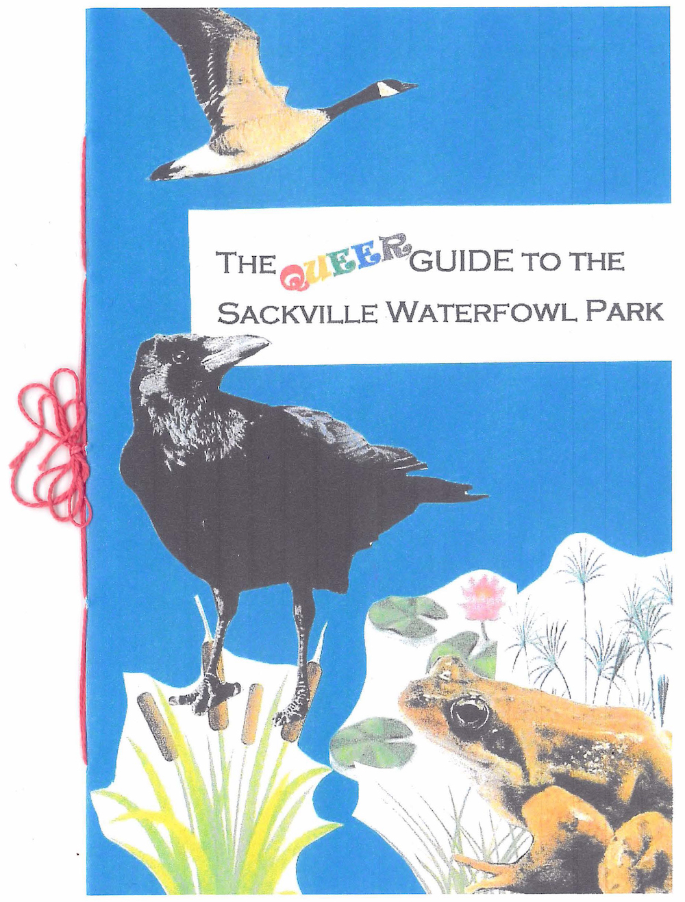 A Canadian goose, a crow, cattails, and a frog are collaged on the blue cover of the zine, "The Queer Guide to the Sackville Waterfowl Park,". The text "QUEER" is inserted into the text on an angle in rainbow letters. Red string binding is visible along the left edge of the page.