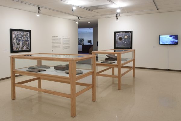 In an art gallery, two wooden display cases with glass tops occupy the centre of the room. On the back wall, a framed photograph of a petri-dish is displayed next to a TV monitor. On the adjacent wall to the left of the gallery entrance, is another framed photograph.