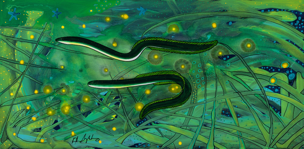 Two long, dark green eels swim through an underwater scene filled with aquatic plants and glowing yellow circular lights. Small blue starfish-like shapes are also subtly painted in the background.